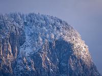 Lichtspot an winterlicher Felswand mit Wald